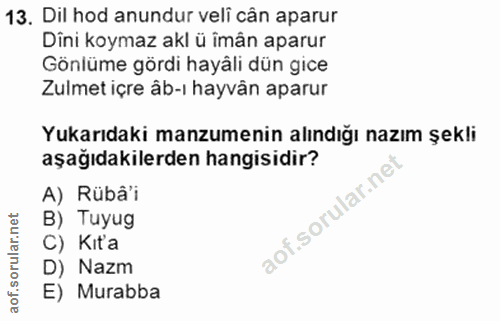 13. soru: Dil hod anundur veli cân aparur Dini koymaz akl ü îmån aparur Gönlüme gördi hayâli dün gice Zulmet içre âb-ı hayvân a…