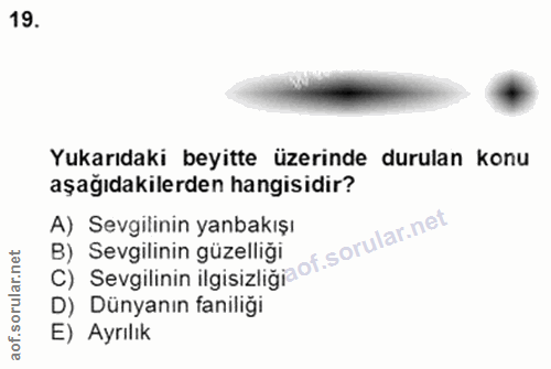 19. soru: Yukarıdaki beyitte üzerinde durulan konu aşağıdakilerden hangisidir? A) Sevgilinin yanbakışı C) Sevgilinin ilgisizlig…