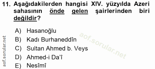 11. soru: Aşağıdakilerden hangisi XIV. yüzyılda Azeri sahasının önde gelen şairlerinden biri değildir? A) Hasanoğlu B) Kadı Bur…