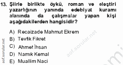 13. soru: Şiirle birlikte öykü, roman ve eleștiri yazarlığının yanında edebiyat kuramı alanında da çalışmalar yapan kişi aşağıd…
