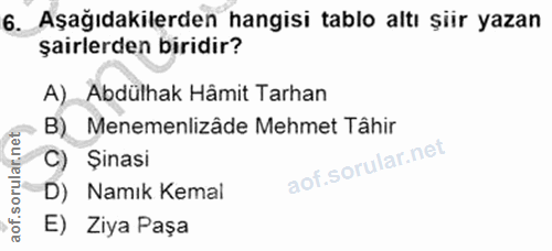 6. soru: Aşağıdakilerden hangisi tablo altı şiir yazan şairlerden biridir? A) Abdülhak Hâmit Tarhan B) Menemenlizâde Mehmet Tâ…