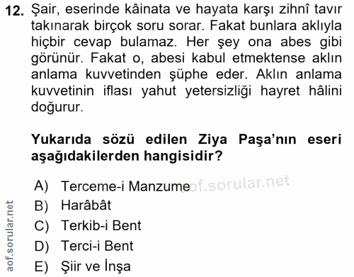 12. soru: Şair, eserinde kainata ve hayata karşı zıhni tavır takınarak birçok soru sorar. Fakat bunlara aklıyla hiçbir cevap bu…