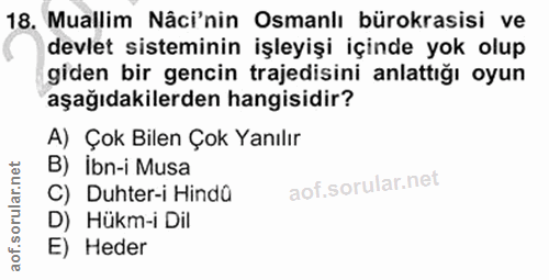 18. soru: Muallim Nâci'nin Osmanlı bürokrasisi ve devlet sisteminin işleyişi içinde yok olup giden bir gencin trajedisini anlat…