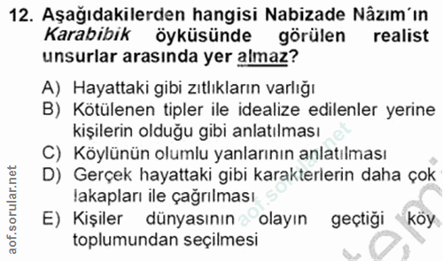 12. soru: Aşağıdakilerden hangisi Nabizade Nâzım'ın Karabibik öyküsünde görülen realist unsurlar arasında yer almaz? A) Hayatta…
