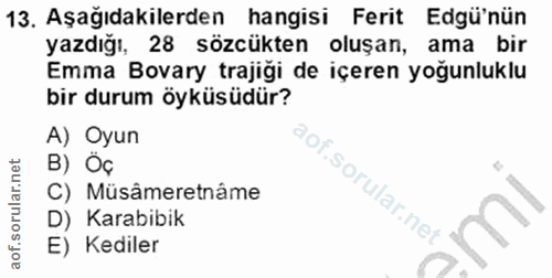 13. soru: Aşağıdakilerden hangisi Ferit Edü'nün yazdığı, 28 sözcükten oluşan, ama bir Emma Bovary trajiği de içeren yoğunluklu…