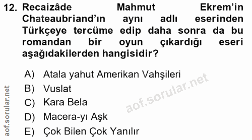 12. soru: Recaizâde Mahmut Ekrem'in Chateaubriand'ın aynı adli eserinden Türkçeye tercüme edip daha sonra da bu romandan bir oy…