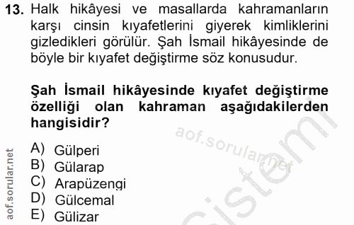 13. soru: Halk hikâyesi ve masallarda kahramanların karşı cinsin kıyafetlerini giyerek kimliklerini gizledikleri görülür. Şah İ…