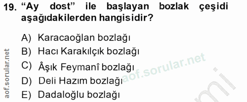 19. soru: "Ay dost" ile başlayan bozlak çeşidi aşağıdakilerden hangisidir? A) Karacaoğlan bozlağı B) Hacı Karakılçık bozlağı C)…