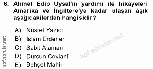 6. soru: Ahmet Edip Uysal'ın yardımı ile hikâyeleri Amerika ve İngiltere'ye kadar ulaşan âşık aşağıdakilerden hangisidir? A) N…