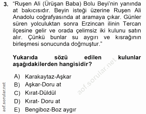 3. soru: "Ruşen Ali (Ürüşan Baba) Bolu Beyi'nin yanında at bakıcısıdır. Beyin isteği üzerine Ruşen Ali Anadolu coğrafyasında a…