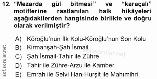 12. soru: "Mezarda gül bitmesi" ve "karaçalı" motiflerine rastlanılan halk hikâyeleri aşağıdakilerden hangisinde birlikte ve do…