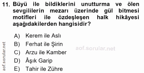 11. soru: Büyü ile bildiklerini unutturma ve ölen sevgililerin mezarı üzerinde gül bitmesi motifleri ile özdeşleşen halk hikâye…