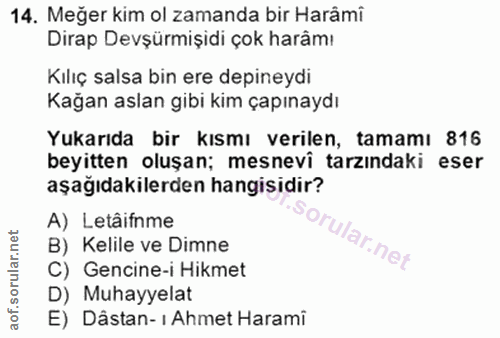 14. soru: Meğer kim ol zamanda bir Harámi Dirap Devşürmişidi çok harâmı Kılıç salsa bin ere depineydi Kağan aslan gibi kim çapı…