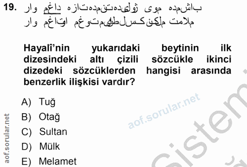 19. soru: Hayali'nin yukarıdaki beytinin ilk dizesindeki altı çizili sözcükle ikinci dizedeki sözcüklerden hangisi arasında ben…