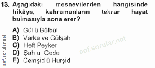 13. soru: Aşağıdaki mesnevilerden hangisinde hikâye, kahramanların tekrar hayat bulmasıyla sona erer? A) Gül ü Bülbül B) Varka…