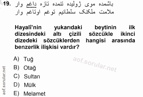 19. soru: Hayali'nin yukarıdaki beytinin ilk dizesindeki altı çizili sözcükle ikinci dizedeki sözcüklerden hangisi arasında ben…