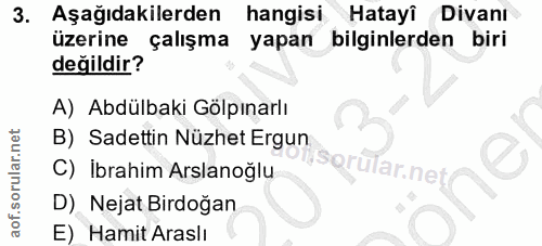 3. soru: Aşağıdakilerden hangisi Hatayi Divanı üzerine çalışma yapan bilginlerden biri değildir? A) Abdülbaki Gölpınarlı B) Sa…