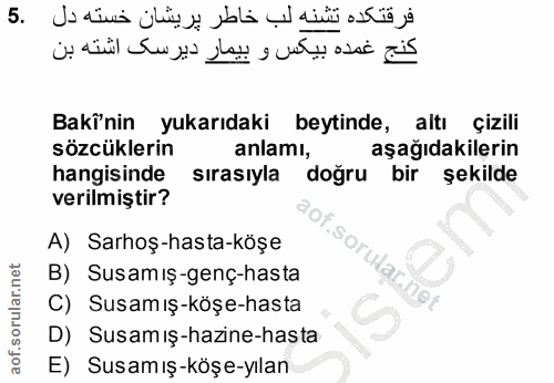 5. soru: Bakî'nin yukarıdaki beytinde, altı çizili sözcüklerin anlamı, aşağıdakilerin hangisinde sırasıyla doğru bir şekilde v…