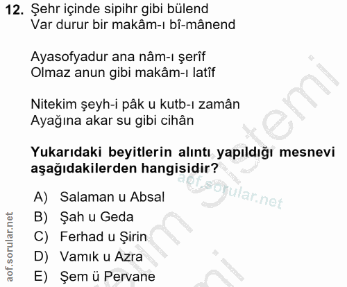 12. soru: Şehr içınde sipihr gibi bulend Var durur bir makâm-ı bî-mânend Ayasofyadur ana nâm-ı şerîf Olmaz anun gibi makâm-ı la…