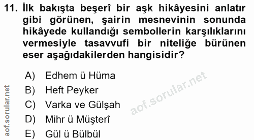 11. soru: İlk bakışta beşerî bir aşk hikâyesini anlatır gibi görünen, şairin mesnevinin sonunda hikâyede kullandığı sembollerin…