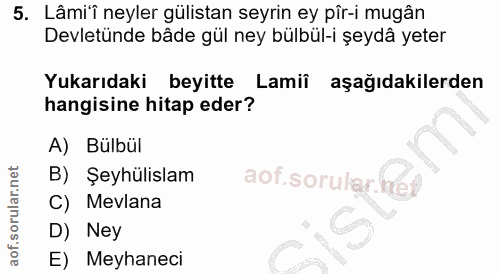 5. soru: Lâmi'î neyler gülistan seyrin ey pîr-i mugân Devletnde bâde gül ney bülbül-i şeydâ yeter Yukarıdaki beyitte Lamii aşa…