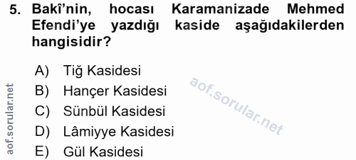 5. soru: Bakî'nin, hocası Karamanizade Mehmed Efendi'ye yazdığı kaside aşağıdakilerden hangisidir? A) Tig Kasidesi B) Hançer K…