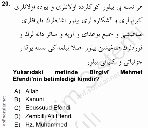 20. soru: Yukarıdaki metinde Birgivi Mehmet Efendi'nin betimlediği kimdir? A) Allah B) Kanuni C) Ebussuud Efendi D) Zembilli Al…
