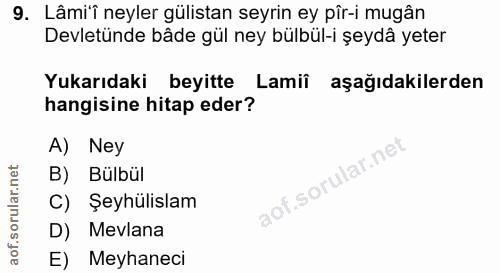 9. soru: Lâmi'î neyler gülstan seyrin ey pîr-i mugân Devletünde bâde gül ney bülbül-i şeydâ yeter Yukarıdaki beyitte Lamii aşa…