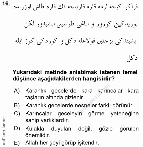 16. soru: قراكو كيجه لرده قاره قارينجه نك قاره طاش اوزرنده .16 يوريد كين كورور و اياغى طوشينى ايشيدور لكن ايشيتدكى بزجلين قولاغ…