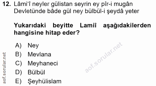 12. soru: Lâmi'î neyler gülistan seyrin ey pîr-i mugân Devletünde bâde gül ney bülbül-i şeydâ yeter Yukarıdaki beyitte Lamiî aş…