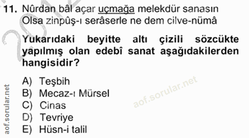 11. soru: Nürdan bål açar uçmağa melekdur sanasın Olsa zinpûş-ı serâserle ne dem cilve-nümâ Yukarıdaki beyitte altı çizili sözc…
