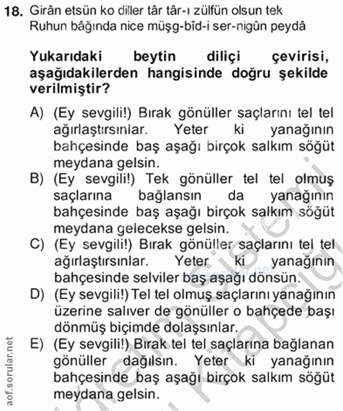 18. soru: Girân etsün ko diller târ târ-ı zülfün olsun tek Ruhun bâğında nice müşg-bîd-i ser-nigûn peydâ Yukarıdaki beytin dili…