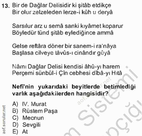 13. soru: Bir de Dağlar Delisidir ki şitâb etdikçe Bir olur zelzeleden lerze-i kûh u deryâ Sarsılur arz u semâ sanki kıyâmet ko…