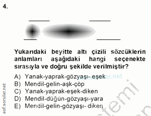 4. soru: Yukarıdaki beyitte altı çizili sözcüklerin anlamları aşağıdaki hangi seçenekte sırasıyla ve doğru şekilde verilmiştir…