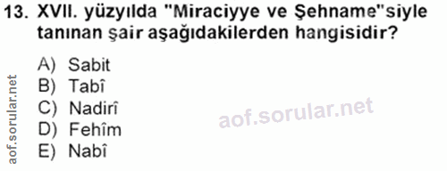 13. soru: XVII. yüzyılda "Miraciyye ve Şehname" siyle tanınan şair aşağıdakilerden hangisidir? A) Sabit B) Tabî C) Nadiri D) Fe…