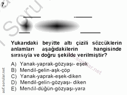 7. soru: Yukarıdaki beyitte altı çizili sözcüklerin anlamları aşağıdakilerin hangisinde sırasıyla ve doğru şekilde verilmiştir…