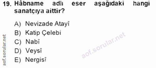 19. soru: Hâbname adiı eser aşağıdaki hangi sanatçıya aittir? A) Nevizade Atayi B) Katip Çelebi C) Nabi D) Veysî E) Nergisi