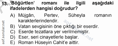 13. soru: 'Böğürtlen' romanı ile ilgili aşağıdaki ifadelerden hangisi doğrudur? A) Müjgân, Pertev, Süheyla romanın karakterleri…