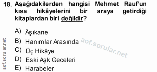 18. soru: Aşağıdakilerden hangisi Mehmet Rauf'un kısa hikâyelerini bir araya getirdiği kitaplardan biri değildir? B) Hanımlar A…