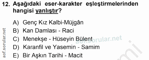 12. soru: Aşağıdaki eser-karakter eşleştirmelerinden hangisi yanlıştır? A) Genç Kız Kalbi-Müjgân B) Kan Damlası - Raci C) Menek…