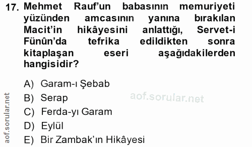 17. soru: Mehmet Raufun babasının memuriyeti yüzünden amcasinın yanına bırakılan Macit'in hikâyesini anlattığı, Servet-i Fünûn'…