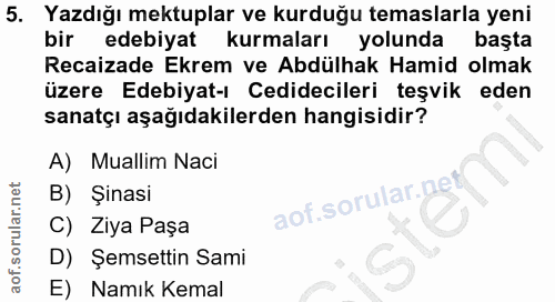 5. soru: Yazdığı mektuplar ve kurduğu temaslarla yeni bir edebiyat kurmaları yolundal başta Recaizade Ekrem ve Abdülhak Hamid…