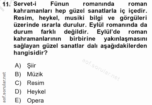 11. soru: Servet-i Fünun romanında roman kahramanları hep güzel sanatlarla iç içedir. Resim, heykel, musiki bilgi ve görgüleri…