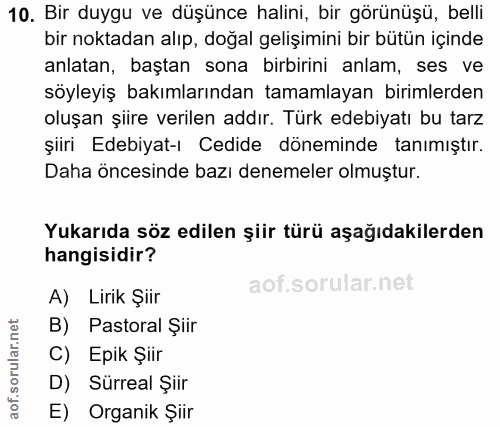 10. soru: Bir duygu ve düşünce halini, bir görünüşü, belli bir noktadan alıp, doğal gelişimini bir bütün içinde anlatan, baştan…
