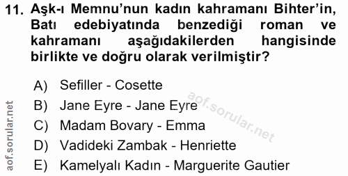 11. soru: Aşk-ı Memnu'nun kadın kahramanı Biter'in, Batı edebiyatında benzediği roman ve kahramanı aşağıdakilerden hangisinde b…