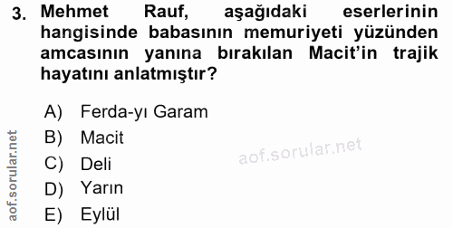 3. soru: Mehmet Rauf, aşağıdaki eserlerinin hangisinde babasının memuriyeti yüzünden amcasının yanına bırakılan Macit'in traji…
