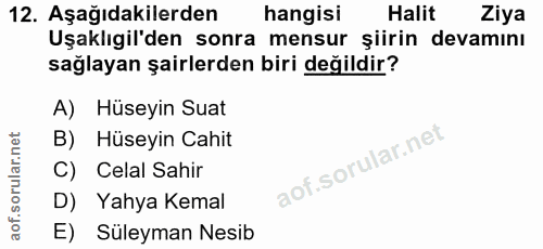 12. soru: Aşağıdakilerden hangisi Halit Ziya Uşaklıgil'den sonra mensur şiirin devamını sağlayan şairlerden biri değildir? A) H…