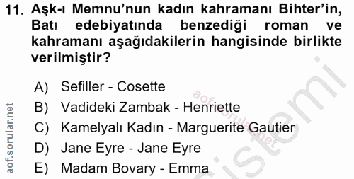 11. soru: Aşk-ı Memnu'nun kadın kahramanı Biter'in, Batı edebiyatında benzediği roman ve kahramanı aşağıdakilerin hangisinde bi…