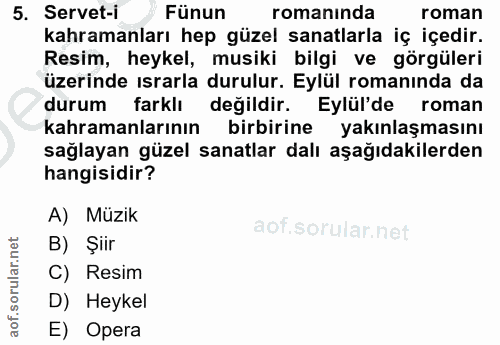 5. soru: Servet-i Fünun romanında roman kahramanları hep güzel sanatlarla iç içedir. Resim, heykel, musiki bilgi ve görgüleri…