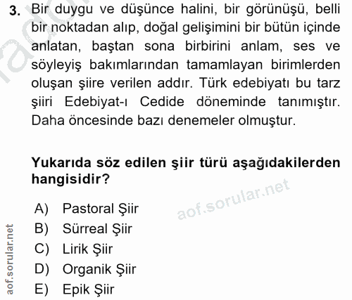 3. soru: Bir duygu ve düşünce halini, bir görünüşü, belli bir noktadan alıp, doğal gelişimini bir bütün içinde anlatan, baştan…